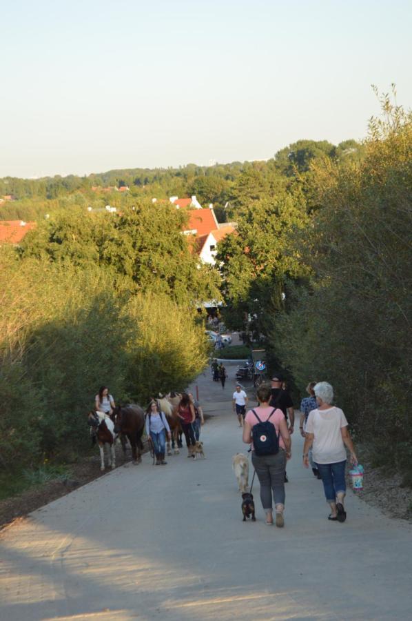 Huis Aan Honte Dishoek Εξωτερικό φωτογραφία